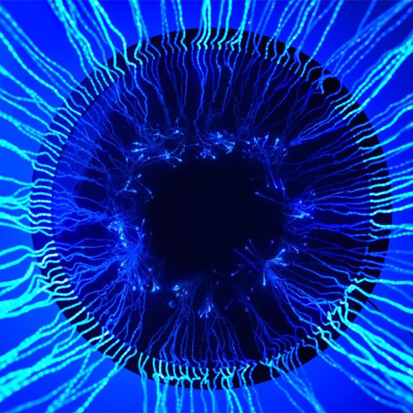 Fibre Optic Ceiling Curtain 150 Individual Fibres & 16w Light Source - Image 2