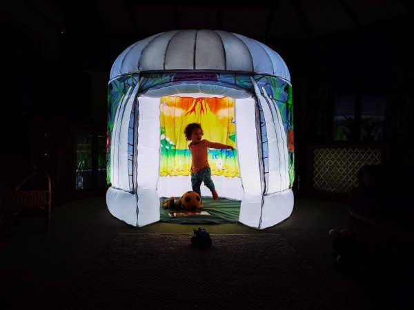 Pods Walking With Dinosaurs- Sensory Play Tent - Image 3