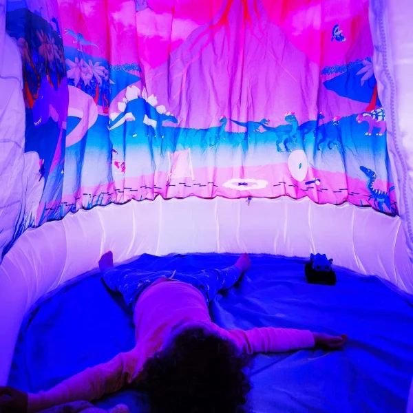 Pods Walking With Dinosaurs- Sensory Play Tent - Image 6