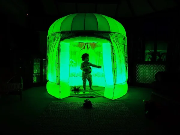 Pods Walking With Dinosaurs- Sensory Play Tent - Image 13